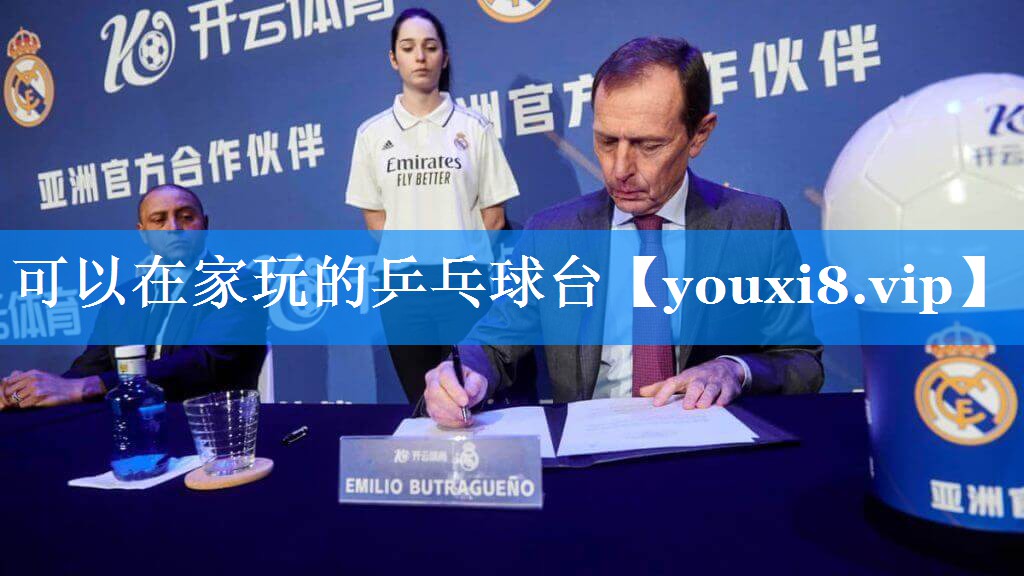 可以在家玩的乒乓球台