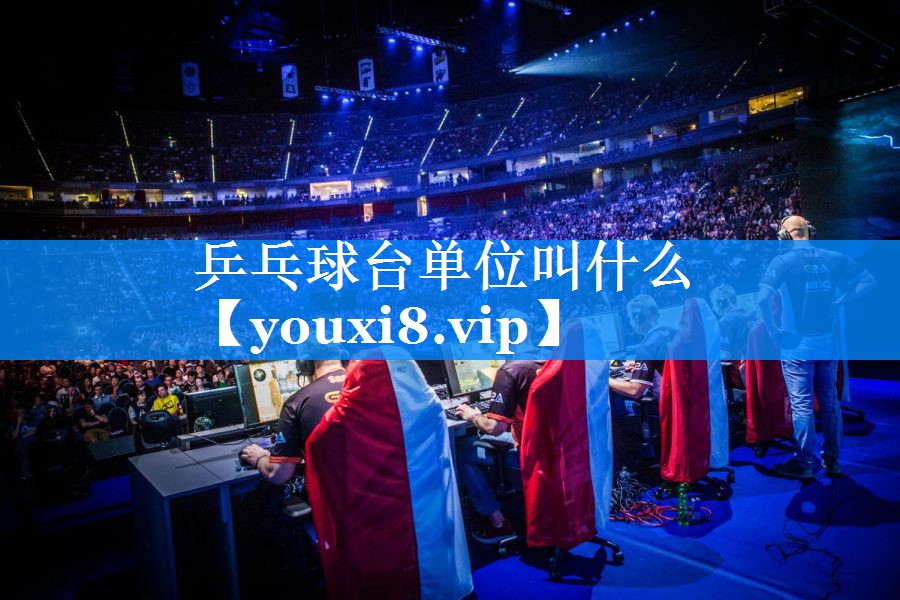 乒乓球台单位叫什么