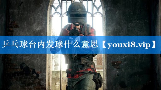 乒乓球台内发球什么意思