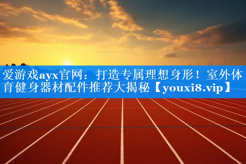 爱游戏ayx官网：打造专属理想身形！室外体育健身器材配件推荐大揭秘