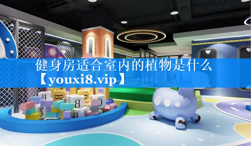 健身房适合室内的植物是什么