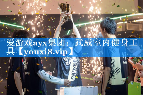 爱游戏ayx集团：武威室内健身工具