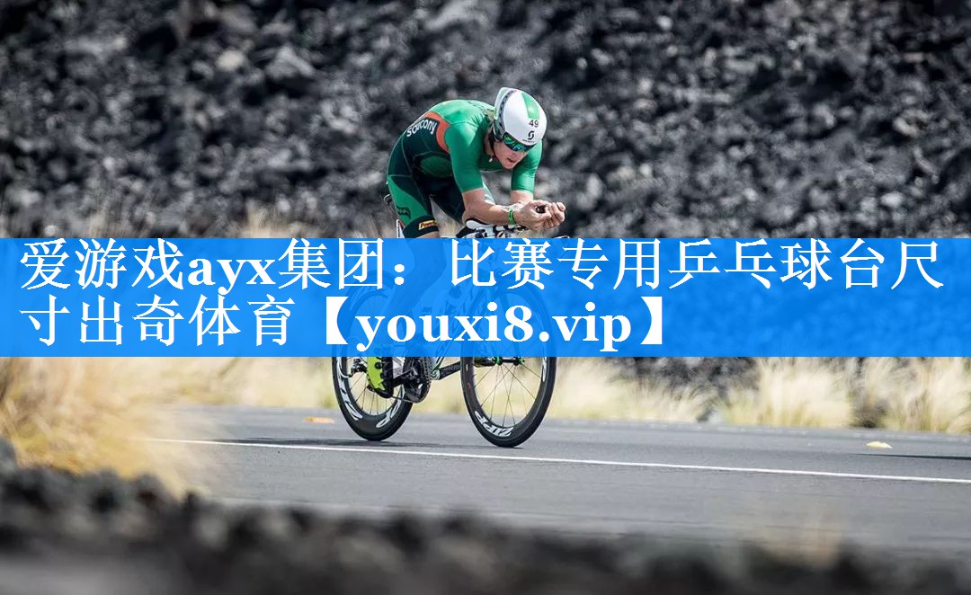 爱游戏ayx集团：比赛专用乒乓球台尺寸出奇体育