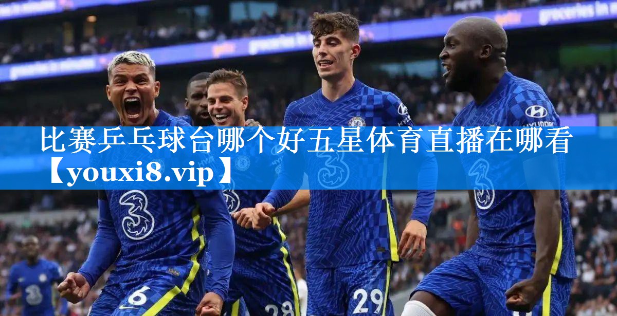比赛乒乓球台哪个好五星体育直播在哪看