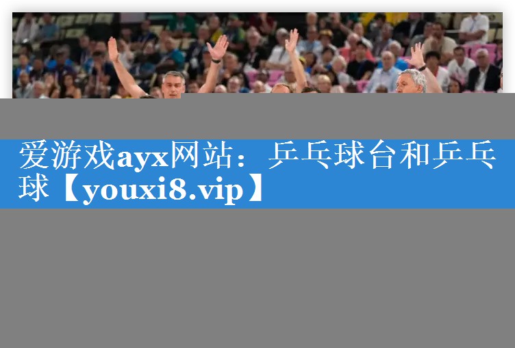 爱游戏ayx网站：乒乓球台和乒乓球
