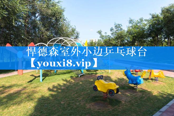 悍德森室外小边乒乓球台