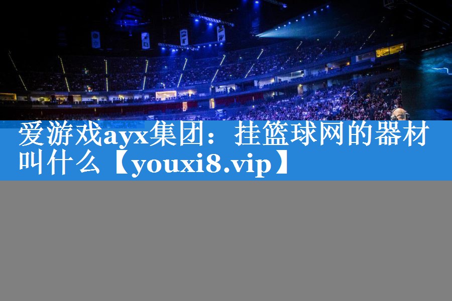 爱游戏ayx集团：挂篮球网的器材叫什么
