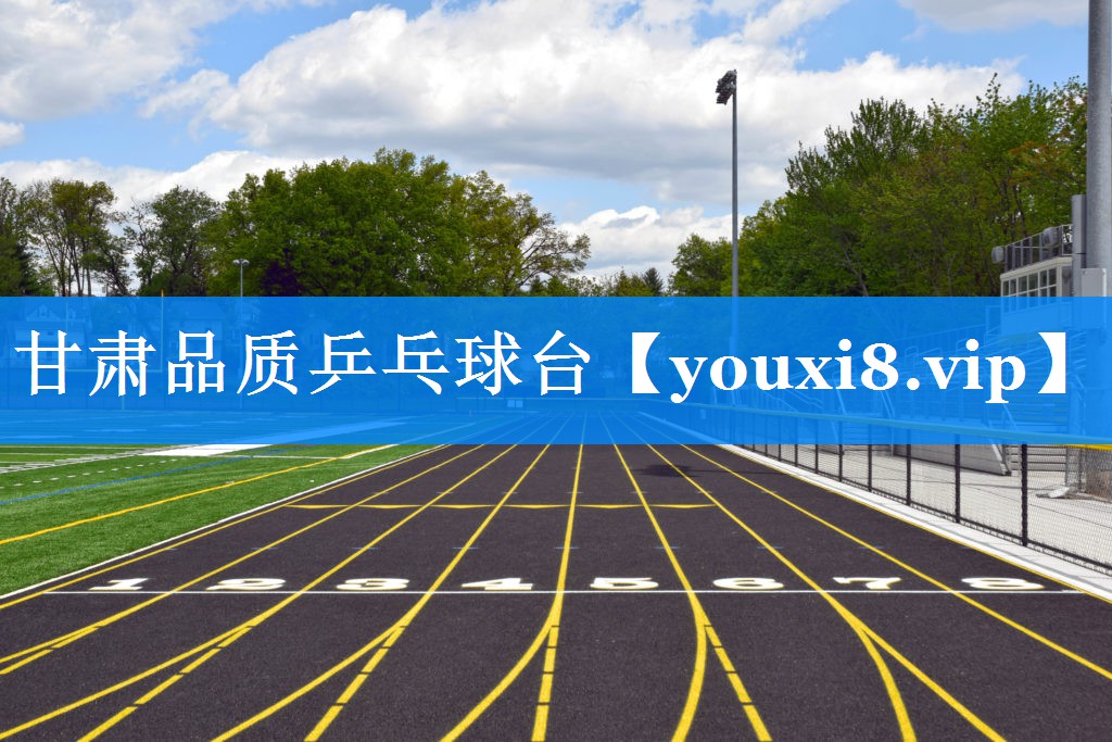 甘肃品质乒乓球台