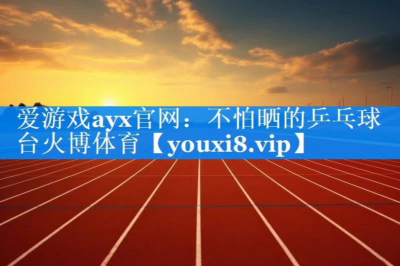 爱游戏ayx官网：不怕晒的乒乓球台火博体育