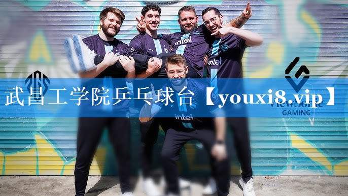 武昌工学院乒乓球台