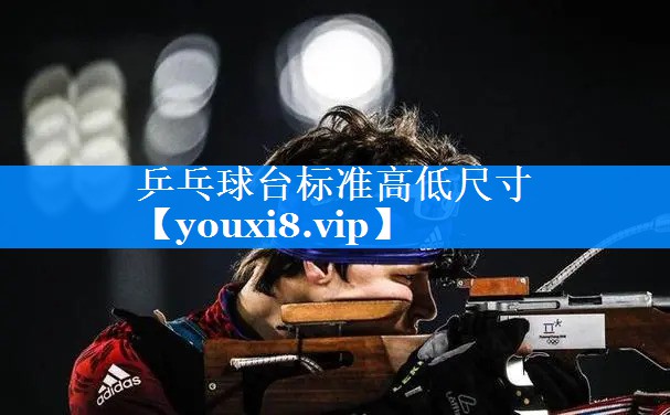 乒乓球台标准高低尺寸