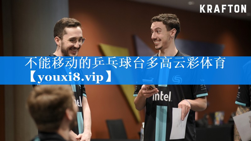 不能移动的乒乓球台多高云彩体育