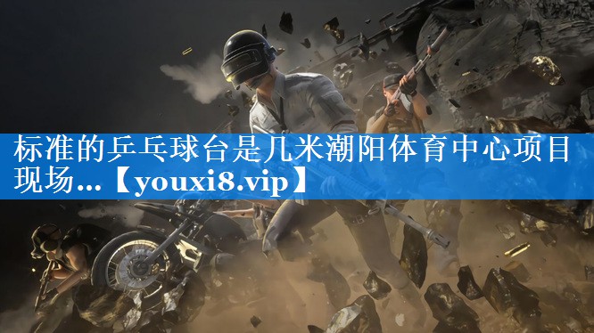 标准的乒乓球台是几米潮阳体育中心项目现场…