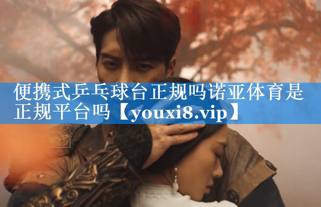 便携式乒乓球台正规吗诺亚体育是正规平台吗