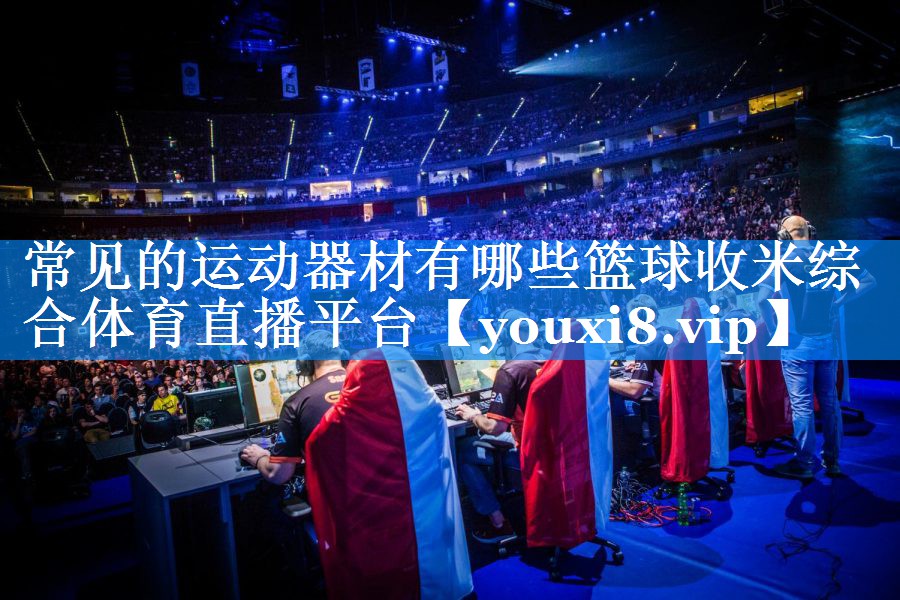 常见的运动器材有哪些篮球收米综合体育直播平台