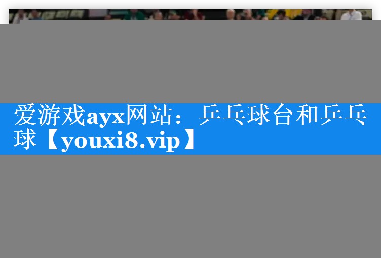 乒乓球台和乒乓球 乒乓球台和乒乓球