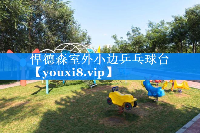 悍德森室外小边乒乓球台 悍德森室外小边乒乓球台