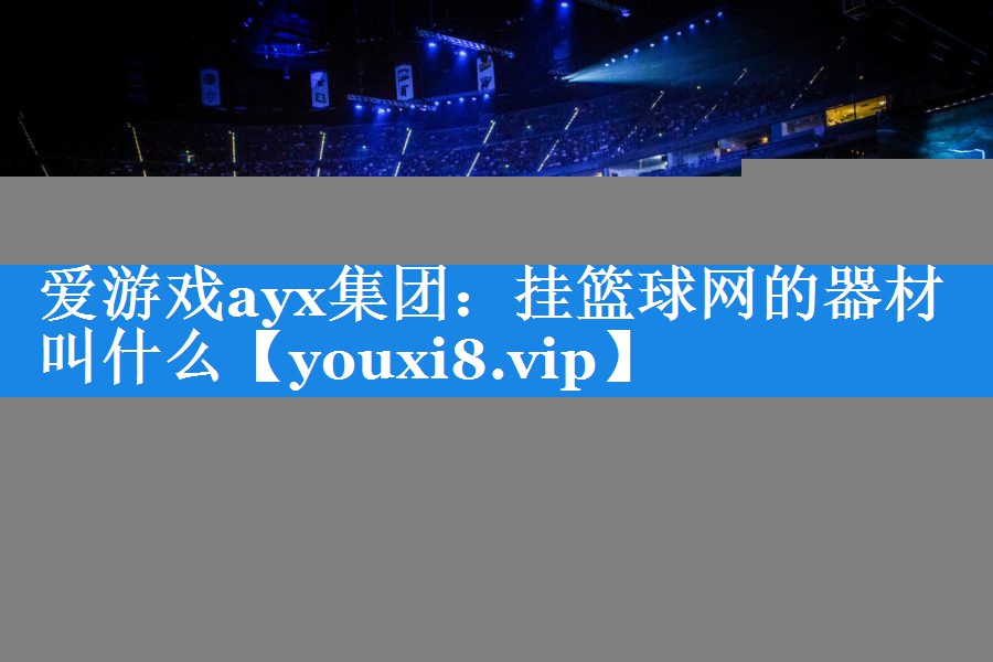 挂篮球网的器材叫什么 挂篮球网的器材叫什么