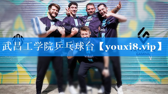 武昌工学院乒乓球台 武昌工学院乒乓球台