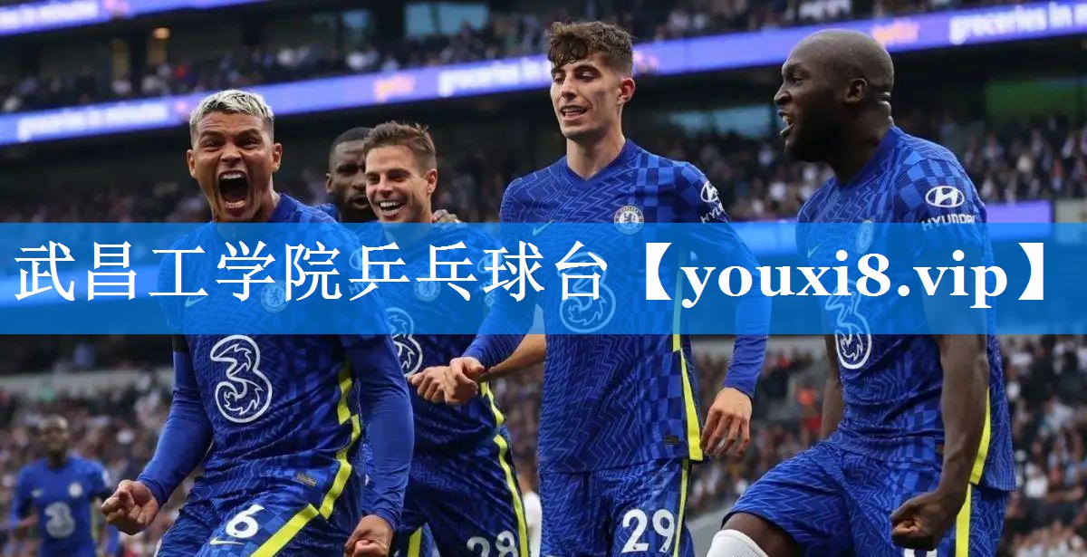 武昌工学院乒乓球台 武昌工学院乒乓球台