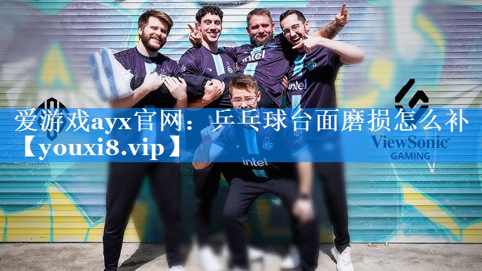 乒乓球台面磨损怎么补 乒乓球台面磨损怎么补